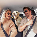 Dog Car Seat Extender